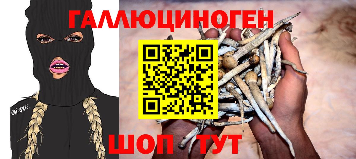 Псилоцибиновые грибы Psilocybe  Вход с VPN  Галлюциногенные грибы прущие грибы  продажа наркотиков  Усть-Джегута 