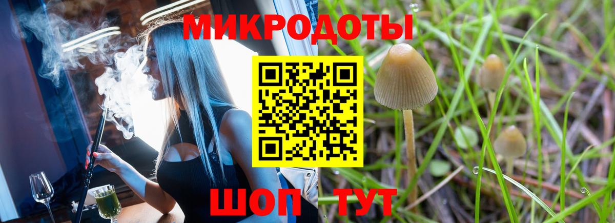 Псилоцибиновые грибы MAGIC MUSHROOMS Усть-Джегута